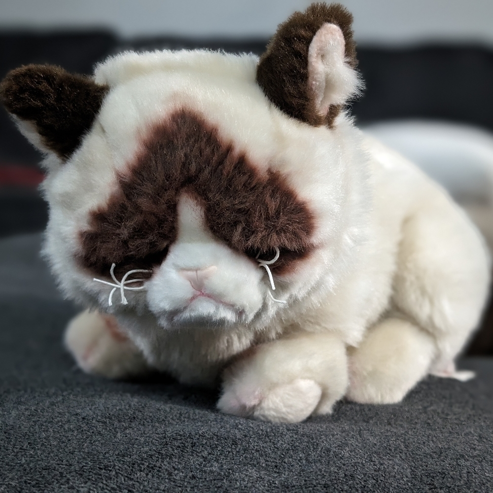 Grumpy cat lying down plush